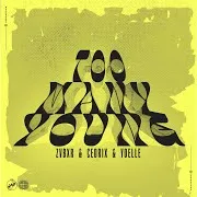 Too Many Young Ft Cedrix & Yoelle